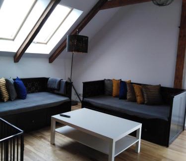 Vojnuv Mestec Appartement | Apartmány Vojnův Městec