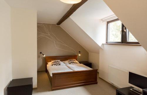 Ceske Budejovice Maison | Apartmány Zadní mlýn