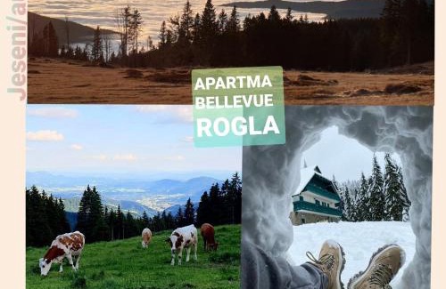 Paka Appartement | Apartma Bellevue Rogla