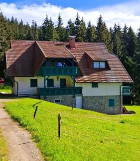 Paka Appartement | Apartma Jurček Rogla