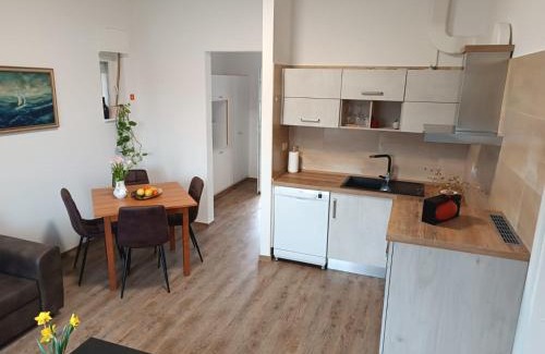 Dobrovo Appartement | Apartma Mjrka