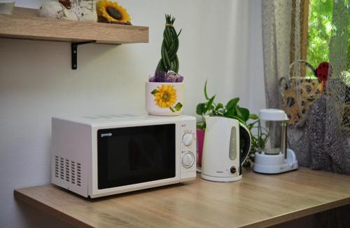 Brda Appartement | Apartma Pic Ros