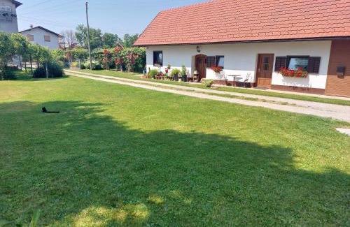 Videm Appartement | Apartma Vida