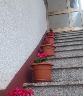 Zaga Appartement | Apartma Zora