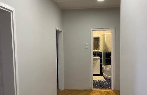 South Backa District Appartement | Apartman Čelarevo centar