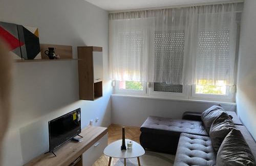South Backa District Appartement | Apartman Čelarevo centar