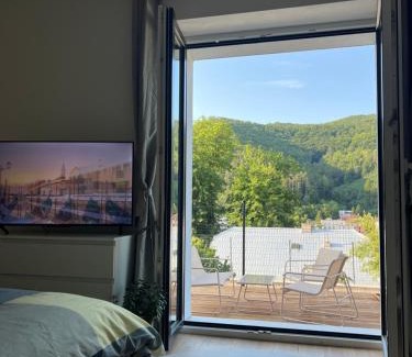 Trencianske Teplice Appartement | Apartman Anjel Teplice