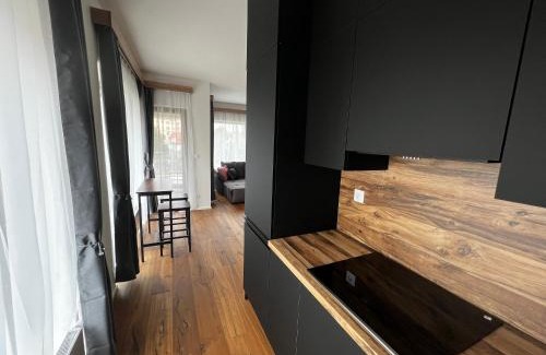 Plzen Appartement | Apartman Champion III