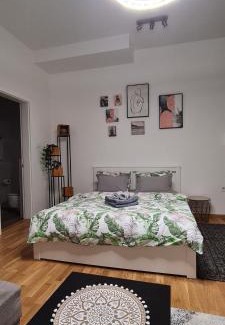 Novi Sad Appartement | Apartman Delena
