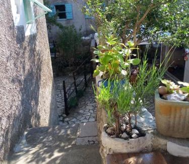 Cres Appartement | Apartman DINKO