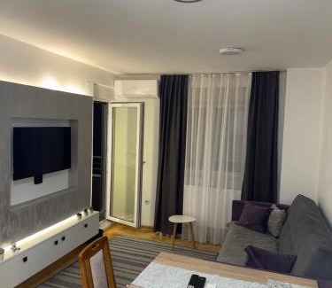 Krusevac Appartement | Apartman Filip