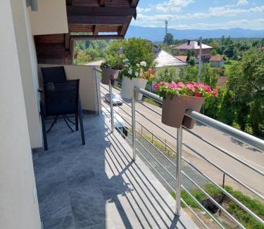 Zivinice Appartement | Apartman Halilčević