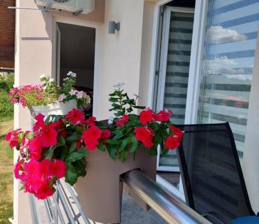 Zivinice Appartement | Apartman Halilčević