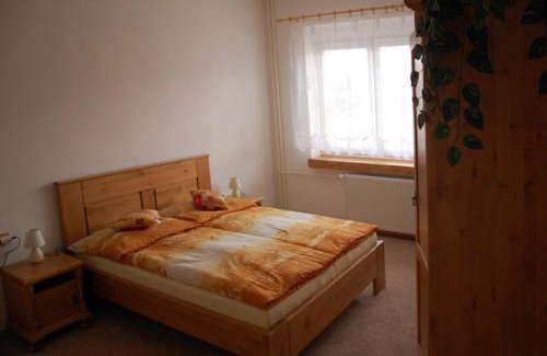 Horni Adrspach Appartement | Apartman Horni Adrspach