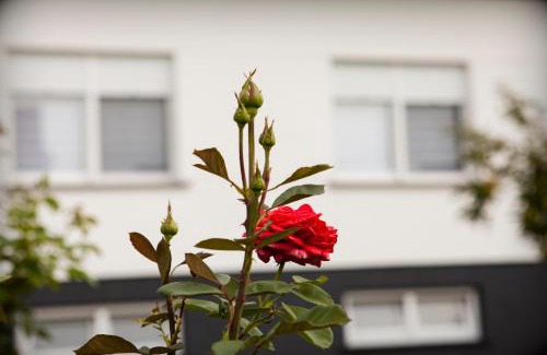 Mala Subotica Appartement | Apartman Kuća 150