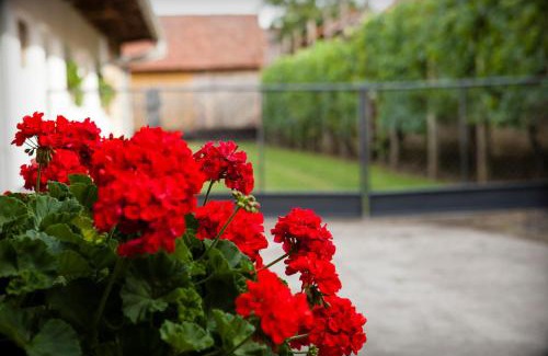 Mala Subotica Appartement | Apartman Kuća 150