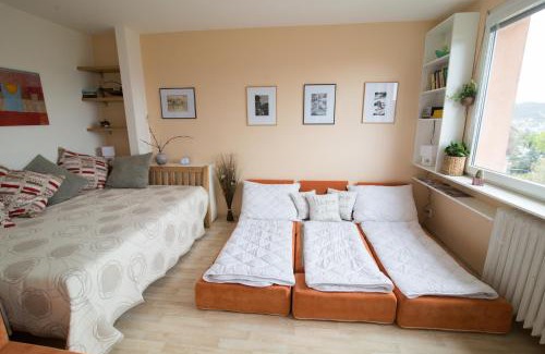 Usti nad Labem Appartement | Apartman Labe