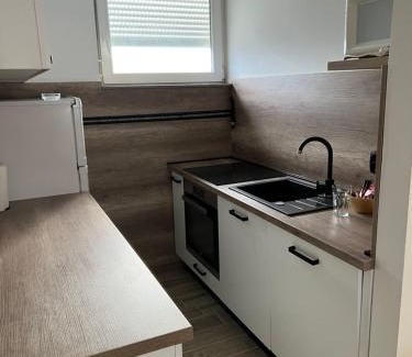 Osijek Appartement | Apartman Luans