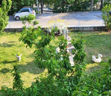 Veljun Primorski Appartement | Apartman Nata