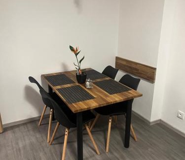 Decin Appartement | Apartman Riegrova 41