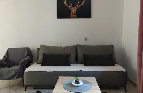 Perusic Appartement | Apartman Rita