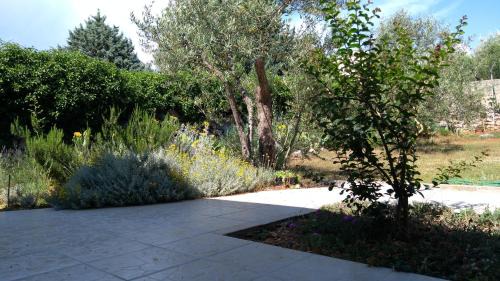 Brzac Appartement | Apartman Ruža
