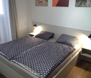 Cerny Dul Appartement | Apartman terasa v Dole