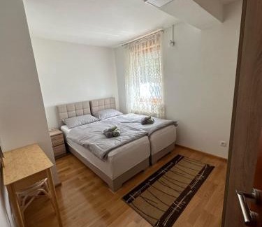 Pozega Appartement | Apartman Vidić