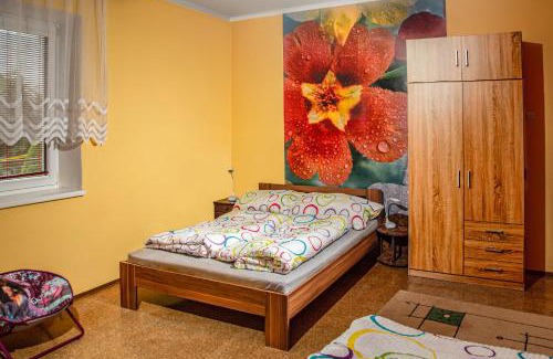 Pribylina Appartement | Apartman ViVi Pribylina