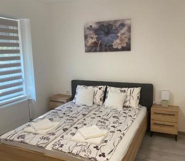 Vrsac Appartement | Apartmani Srce Vršca