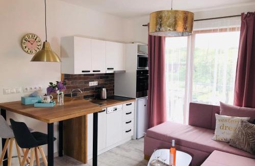 Liptovsky Mikulas Appartement | Apartmany Central Liptov