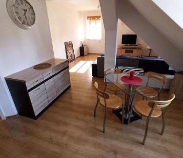 Prachatice Appartement | Apartmany U Lva