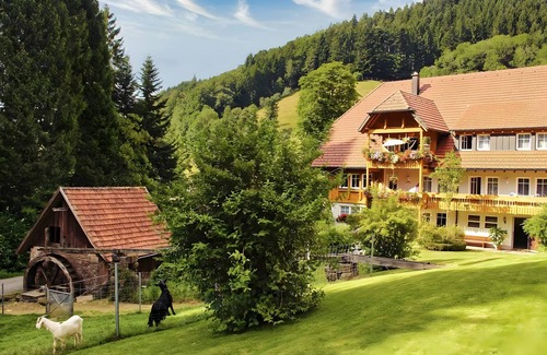 Bad Peterstal-Griesbach Appartement | Apartment 'Leibgedinghaus Eg' with Mountain View, Private Terrace and Wi-Fi