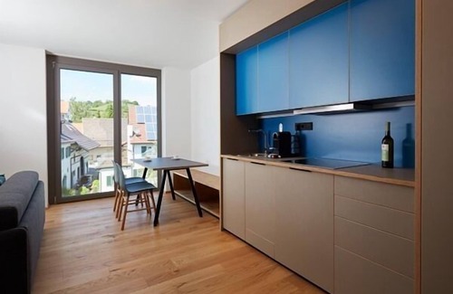 Singen Appartement | Apartment über dem Wasser, 57qm, 1 Schlafzimmer, 1 Wohn-/Schlafzimmer, Loggia, max. 4 Personen