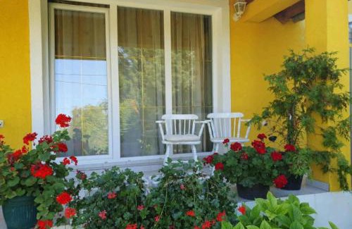 Draz Appartement | Apartment Čeliković