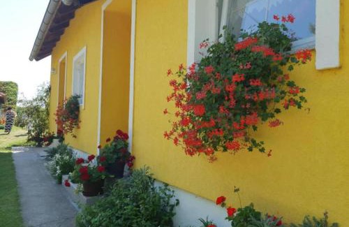 Draz Appartement | Apartment Čeliković