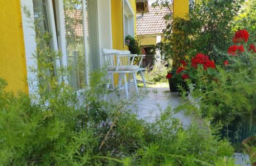 Draz Appartement | Apartment Čeliković