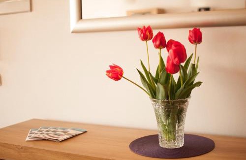 Dakovo Appartement | Apartment Đakovo