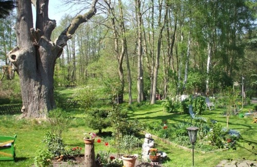 Muhl Rosin Appartement | Appartement 1 - Appartement Am Mühlbach