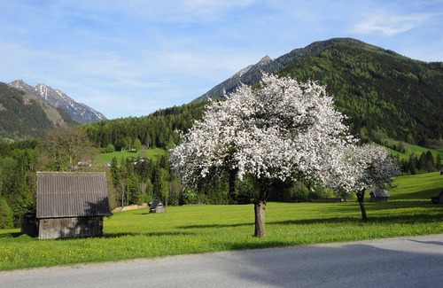Schladming Appartement | Appartement ∙ 1 chambre ∙ 3 personnes