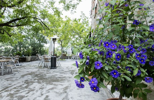 Los Villares Appartement | Apartment 1 - Rural House La Pandera