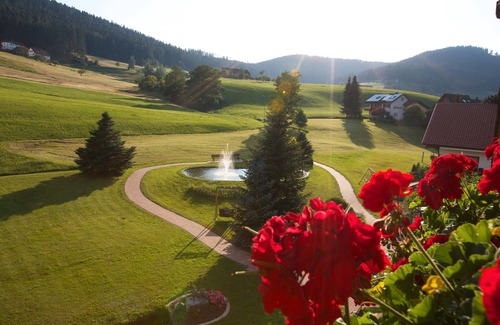 Tonbach Appartement | Apartment '30' with Mountain View, Private Terrace and Wi-Fi