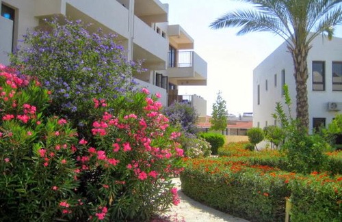 Mazotos Appartement | Apartment A01 Mazatos Hills 1st April street