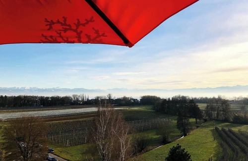 Kressbronn Appartement | Apartment Alina - Penthouse apartment with breathtaking views of Lake Constance