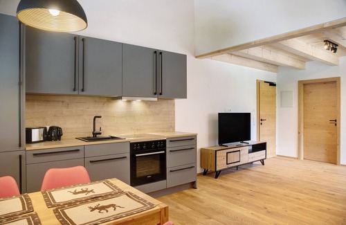 Scharnitz Appartement | Apartment 'Alte Mühle' with Mountain View and Wi-Fi