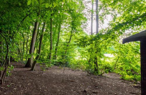 Region Hannover District Appartement | Apartment am Bullerbach Deister