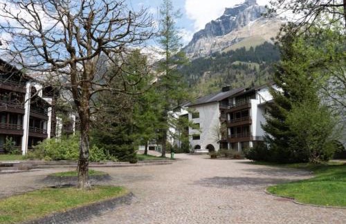Engelberg Appartement | Apartment Am Dürrbach 1-113 by Interhome