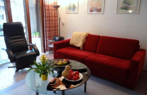 Engelberg Appartement | Apartment Am Dürrbach 5-517 by Interhome