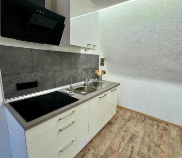 Fuerth Appartement | Apartment am Ronhof