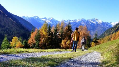 Oetztal-Bahnhof Appartement | Apartment Amberg